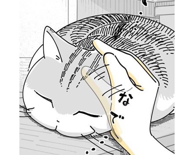 【ネコ漫画】大好きな飼い主に撫でられたい愛猫!?その姿に「わかります」「かわいい」など共感の声多数