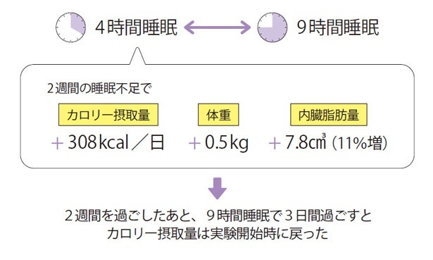 睡眠不足で摂取カロリー・体重・内臓脂肪が増加