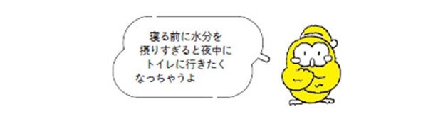 寝る前に水分を摂りすぎると夜中にトイレに行きたくなっちゃうよ