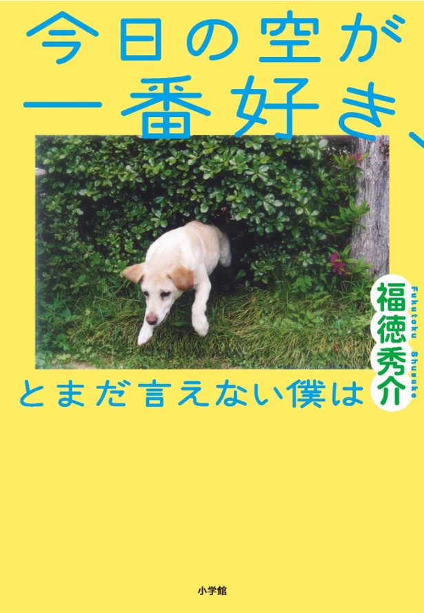 【写真を見る】福徳秀介の小説家デビュー作「今日の空が一番好き、とまだ言えない僕は」を映画化する