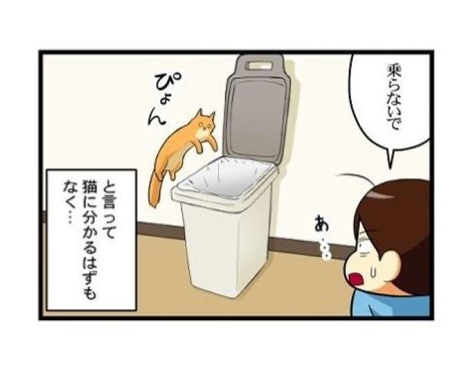 【ねこ漫画】フタが開いたゴミ箱に猫ジャンプ！「落ちる」と思いきや…「器用か!?」その姿に爆笑【作者に聞く】