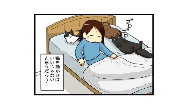 猫様は動かせないのである