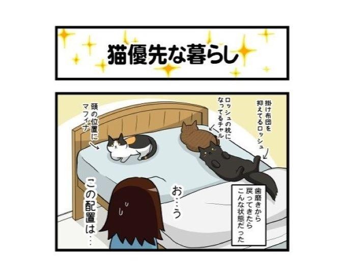 【ねこ漫画】猫飼いは何があろうと猫優先だ！それが下僕の道…「たとえ寝違えようともな!!」【作者に聞く】