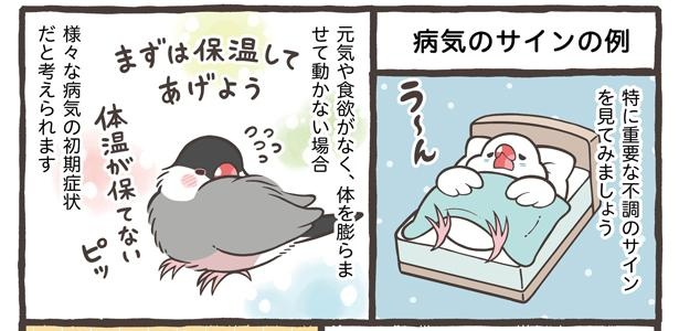 「病気のサイン?こんな症状に注意」4/15