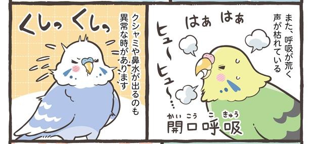 「病気のサイン?こんな症状に注意」5/15