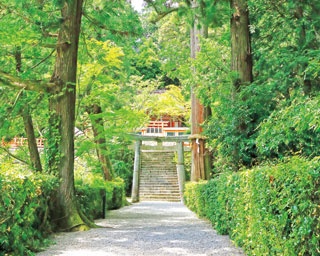 【奈良観光】全国の賀茂社の総本山！「高鴨神社」をめぐるおすすめスポット