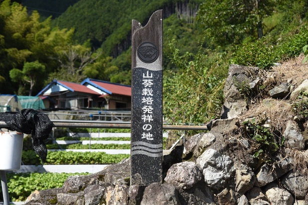 “わさび栽培の発祥地”であることを記した碑