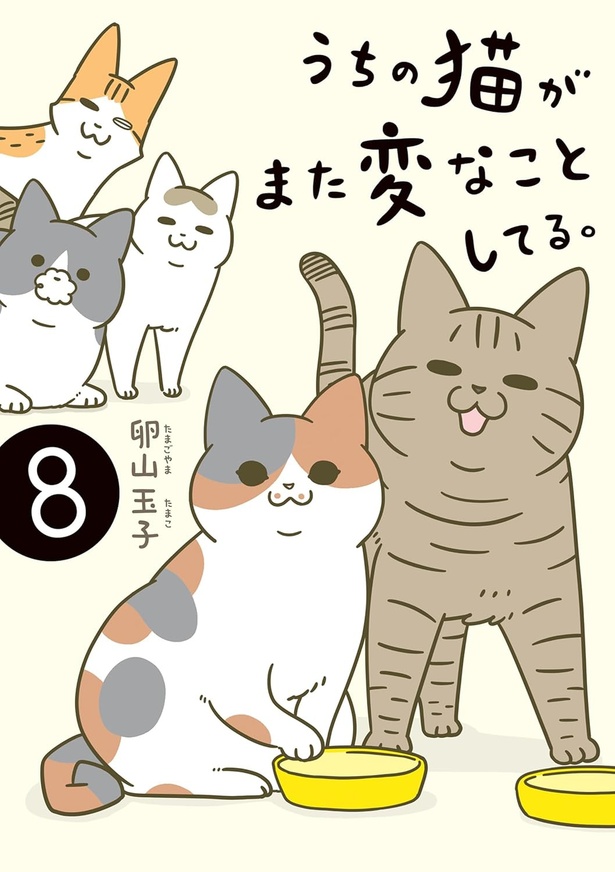 『うちの猫がまた変なことしてる。8』