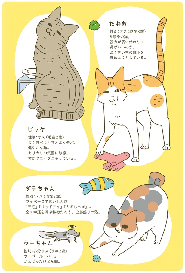 動物紹介 （C）卵山玉子／KADOKAWA