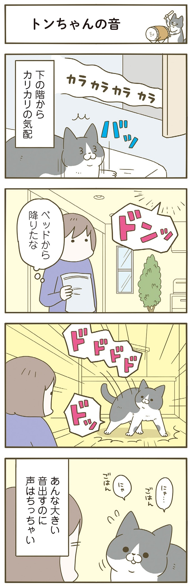 音は大きいのに声はちっちゃい （C）卵山玉子／KADOKAWA