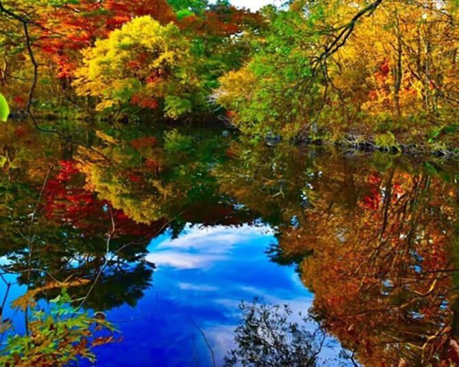 初心者にもおすすめ！絶景の紅葉が楽しめる登山、福島・裏磐梯 五色沼自然探勝路【見頃｜10月中旬〜10月下旬】