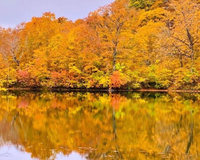 絶景の紅葉をスニーカーで！長野・鎌池【見頃｜10月中旬〜10月下旬】