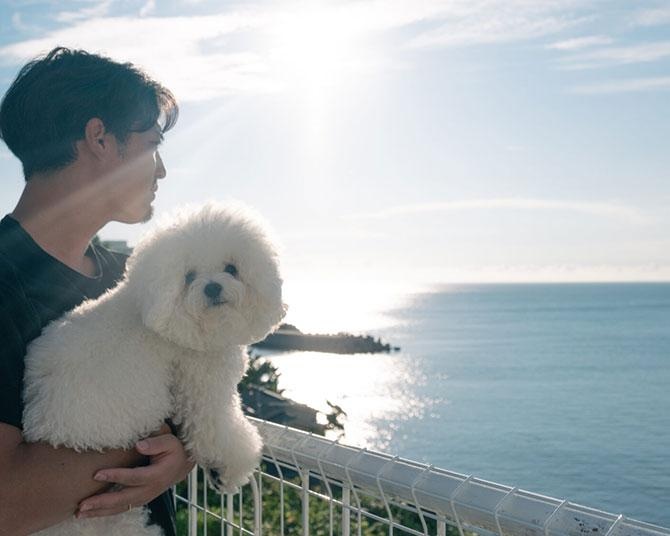 これぞ愛犬家の理想！和歌山・白浜に“わんちゃんファースト”の絶景プライベートコテージが登場