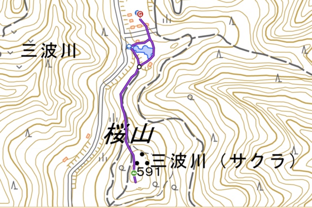 桜山 往復コース