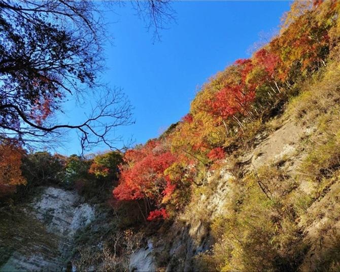 絶景の紅葉をスニーカーで！千葉・梅ヶ瀬渓谷【見頃｜11月下旬〜12月上旬】