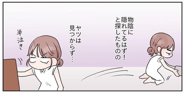 ヤツは見つからず…