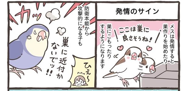 「くりかえす発情にご注意」4/18