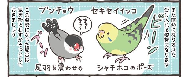 「くりかえす発情にご注意」5/18