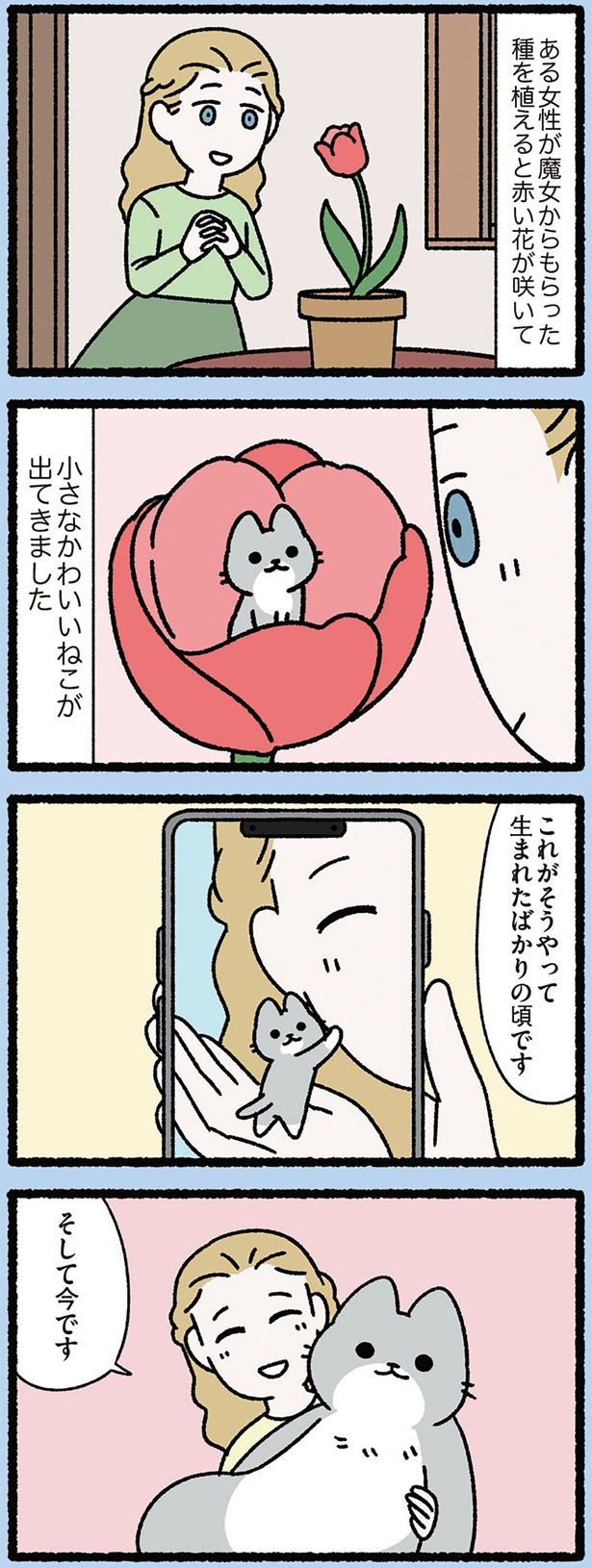 小さかった猫の今 （C）ぱんだにあ／KADOKAWA