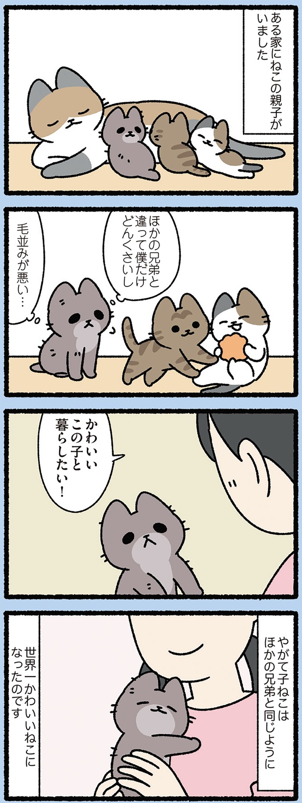 ほかの兄弟と同じように