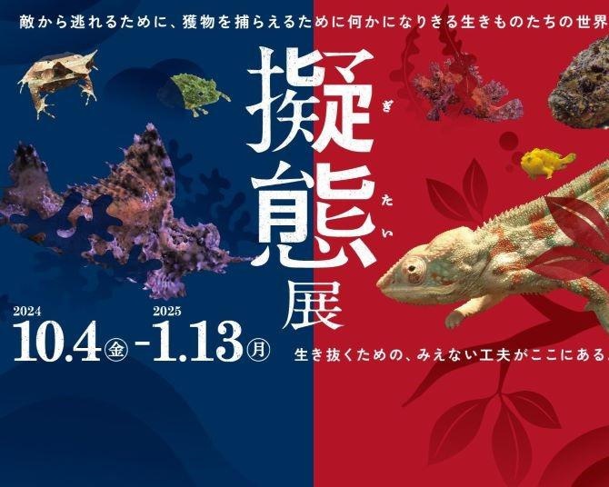 ものまね芸人ほいけんたも登場する「擬態展」が「仙台うみの杜水族館」で開催中！生き抜くために擬態する、不思議な生きものたちを見に行こう