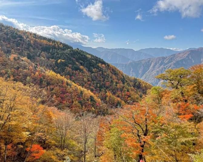 絶景の紅葉をスニーカーで！静岡・山伏(やんぶし)【見頃｜10月下旬〜11月上旬】