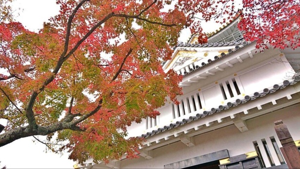 岐阜・金華山