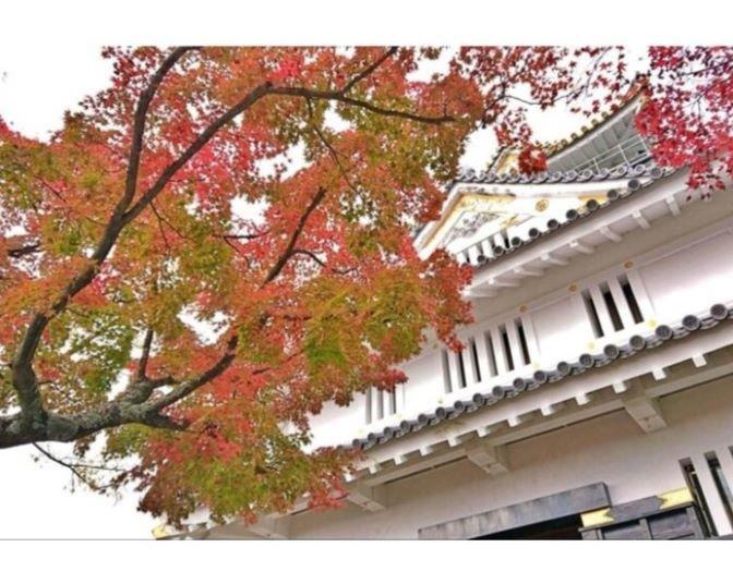 絶景の紅葉をスニーカーで！岐阜・金華山【見頃｜11月上旬～11月下旬】