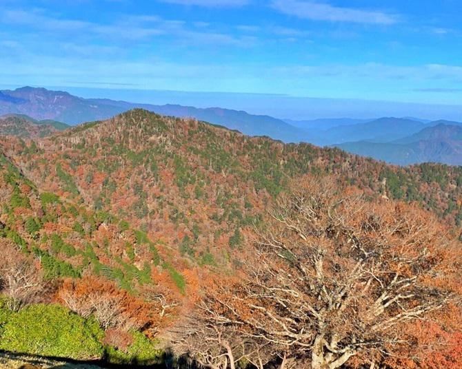 絶景の紅葉をスニーカーで！奈良・大台ヶ原【見頃｜10月中旬〜10月下旬】 