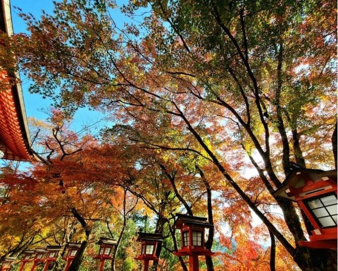 初心者にもおすすめ！絶景の紅葉が楽しめる登山、京都・鞍馬寺から貴船神社【見頃｜11月中旬〜11月下旬】