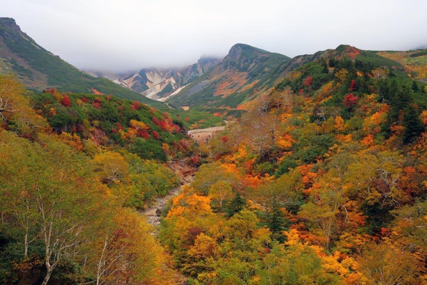 十勝岳に広がる絶景／十勝岳温泉郷