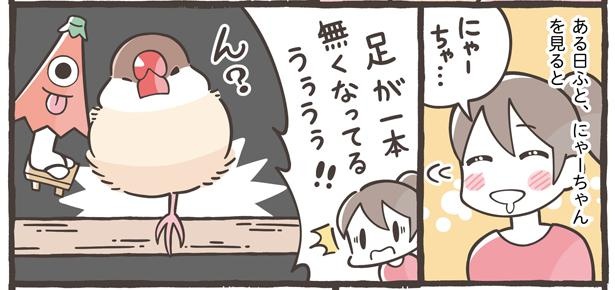 「鳥さんとのエピソード」5/21