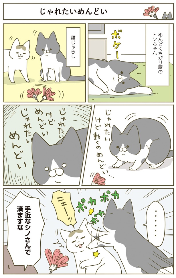 じゃれたいけど動くのめんどい… （C）卵山玉子／KADOKAWA