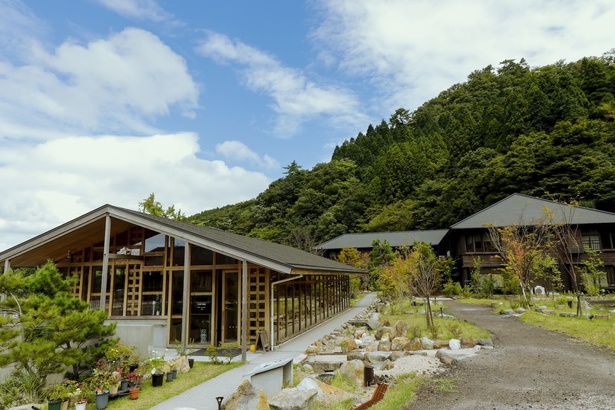 「地獄温泉 青風荘.」があるのは南阿蘇村を東西に伸びる国道325号から車で10分強の山中