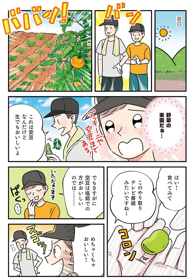 野菜の楽園だぁ…