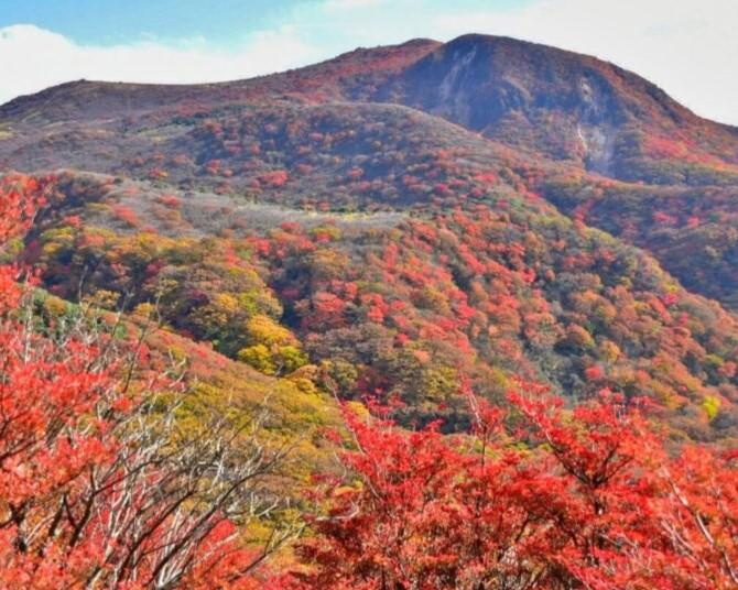 絶景の紅葉をスニーカーで！大分・沓掛山【見頃｜10月下旬〜11月中旬】