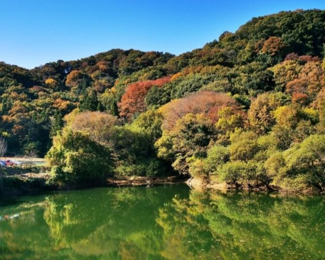 絶景の紅葉をスニーカーで！埼玉・鐘撞堂山(かねつきどうやま)【見頃｜11月下旬〜12月中旬】