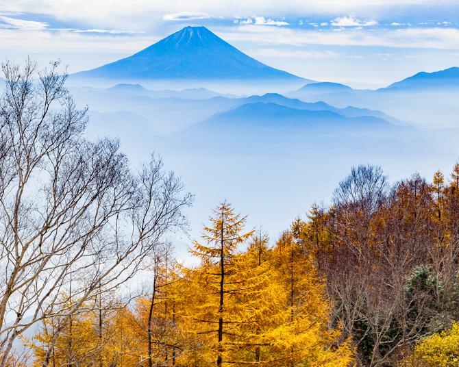 スポーツの秋、芸術の秋、グルメの秋！秋の韮崎徹底攻略ガイド