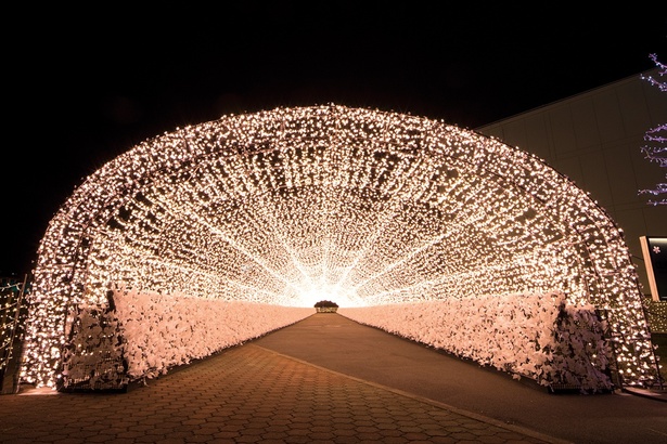 長さ100メートルの光のトンネル「江戸桜トンネル」。すてきな音楽が流れる演出も