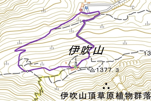 スカイテラス伊吹山発着｜伊吹山360度のパノラマ周回コース