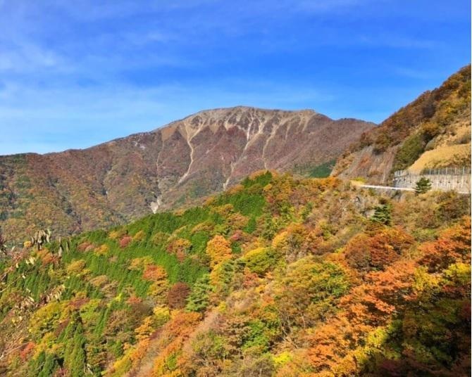 初心者にもおすすめ！絶景の紅葉が楽しめる登山、滋賀・伊吹山【見頃｜10月下旬〜11月上旬】