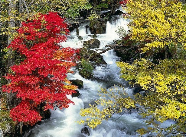 赤や黄の紅葉の間を清流が流れる／阿寒湖畔