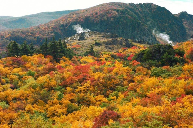 栗駒山の絶景に紅葉がさらに彩りを加える／栗駒山(岩手県)  