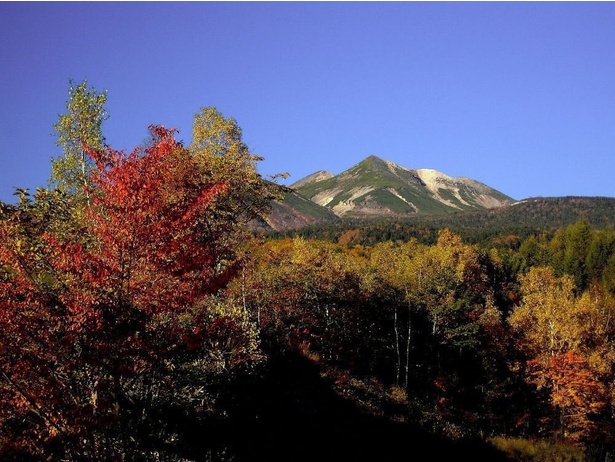 山頂に冠雪が降りれば三段紅葉を眺めることも／乗鞍高原