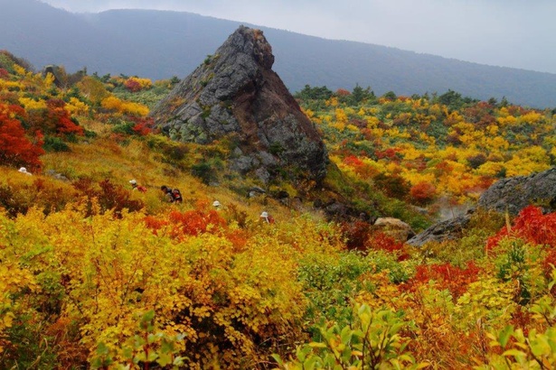 見頃を迎えそうな紅葉名所をピックアップ　※写真は栗駒山(岩手県の紅葉)