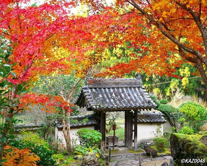 絶景の紅葉をスニーカーで！奈良・山辺の道【見頃｜11月中旬〜12月初旬】