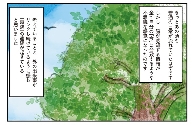 20 　(書籍より抜粋)