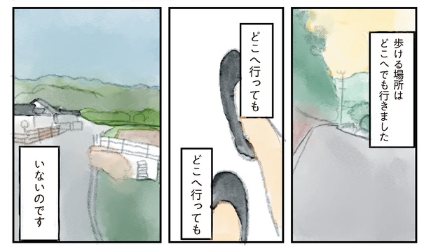 36 　(書籍より抜粋)