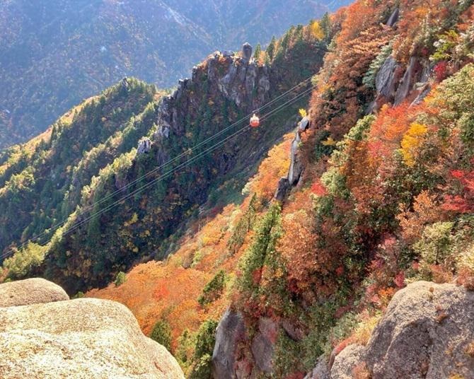 初心者にもおすすめ！絶景の紅葉が楽しめる登山、三重・御在所岳【見頃｜10月中旬〜11月下旬】 