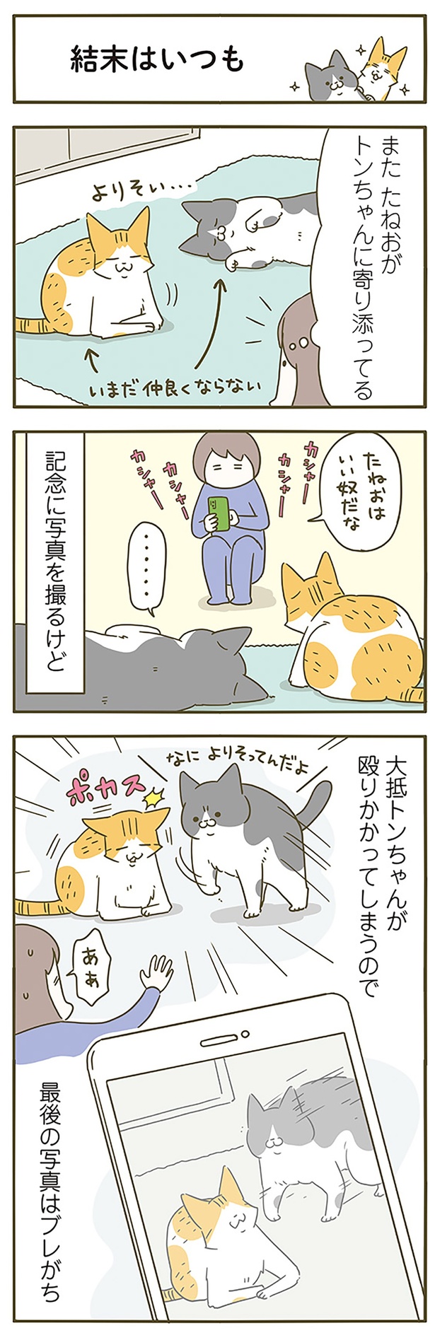 ブレがち （C）卵山玉子／KADOKAWA